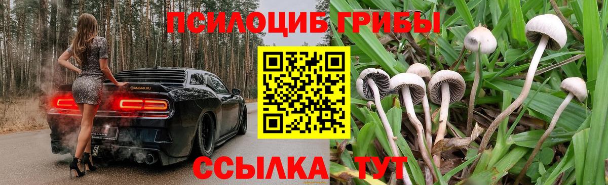 Псилоцибиновые грибы MAGIC MUSHROOMS Урай