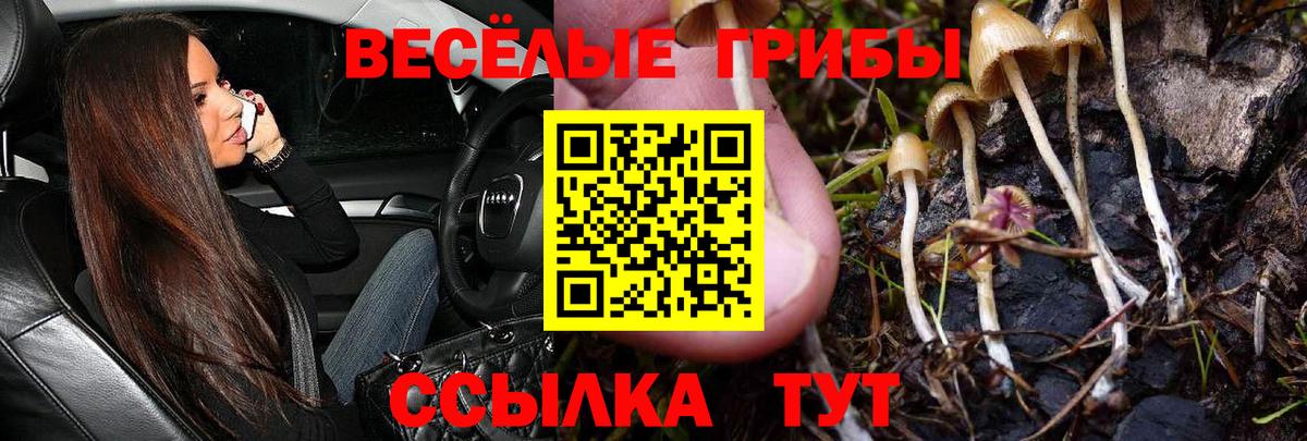Галлюциногенные грибы ЛСД  Вход с VPN  где купить наркоту  Урай 